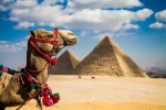Рекомендации по отдыху в Египте