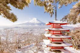 Топ-5 причин побывать в Японии зимой! 