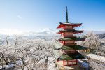 Семь веских причин побывать в Японии зимой