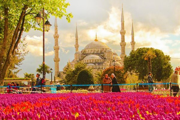 Фестиваль тюльпанов в Стамбуле  ! Вылет из Шымкента !