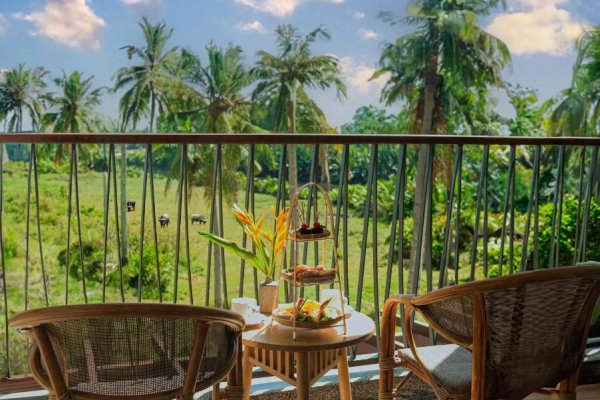 Что-то необычное во Вьетнаме - завтрак в отеле с видом на буйволов!