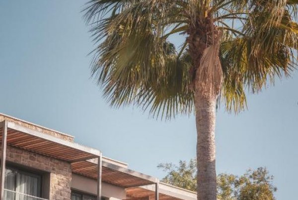 RUINS LUXURY RESORT 5★ — инстаграмный отель 13+ в Бодруме